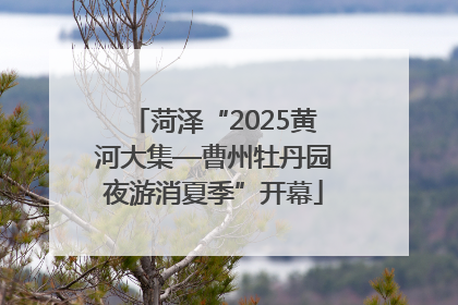 菏泽“2025黄河大集—曹州牡丹园夜游消夏季”开幕