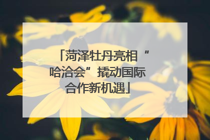 菏泽牡丹亮相“哈洽会”撬动国际合作新机遇