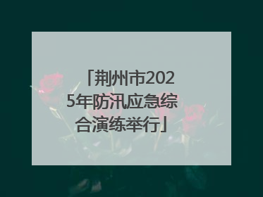 荆州市2025年防汛应急综合演练举行