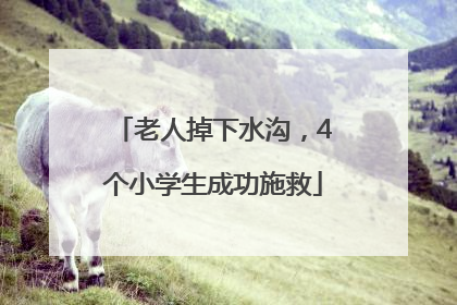 老人掉下水沟，4个小学生成功施救