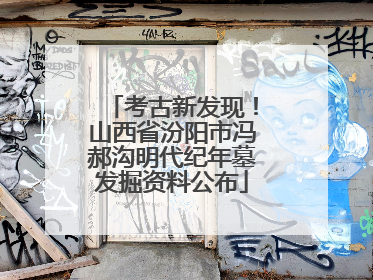 考古新发现！山西省汾阳市冯郝沟明代纪年墓发掘资料公布