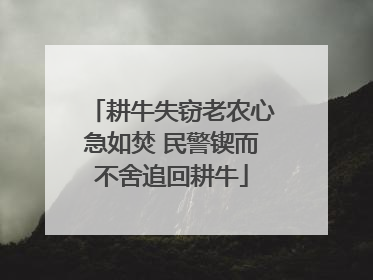 耕牛失窃老农心急如焚 民警锲而不舍追回耕牛