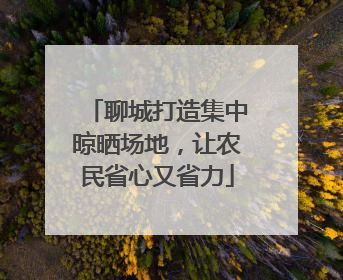 聊城打造集中晾晒场地，让农民省心又省力