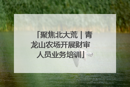 聚焦北大荒｜青龙山农场开展财审人员业务培训