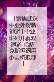 聚焦武汉中亚外贸新通道│中亚班列开辟双通道 哈萨克斯坦饲用小麦将抵鄂
