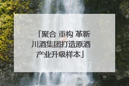 聚合 重构 革新 川酒集团打造原酒产业升级样本