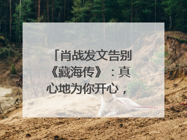 肖战发文告别《藏海传》：真心地为你开心，有这么多人懂你，导演回应“是否有第二季”