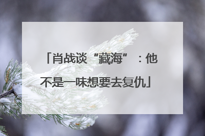 肖战谈“藏海”：他不是一味想要去复仇