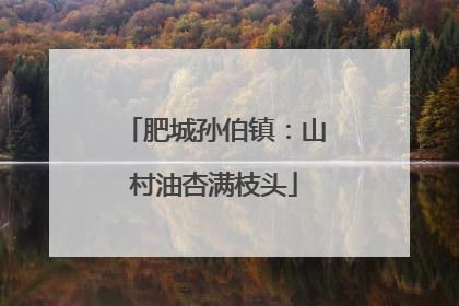 肥城孙伯镇：山村油杏满枝头