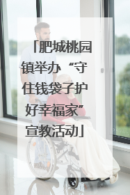 肥城桃园镇举办“守住钱袋子护好幸福家”宣教活动