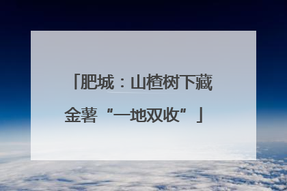 肥城：山楂树下藏金薯“一地双收”