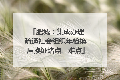 肥城：集成办理 疏通社会组织年检换届换证堵点、难点