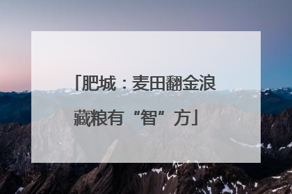 肥城：麦田翻金浪藏粮有“智”方
