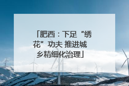 肥西：下足“绣花”功夫 推进城乡精细化治理