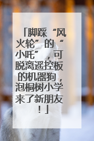 脚踩“风火轮”的“小吒”，可脱离遥控板的机器狗，泡桐树小学来了新朋友！