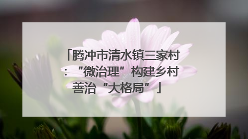腾冲市清水镇三家村：“微治理”构建乡村善治“大格局”