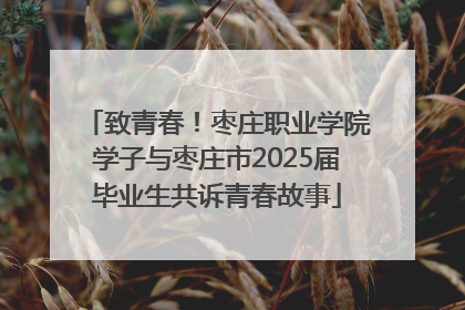 致青春！枣庄职业学院学子与枣庄市2025届毕业生共诉青春故事