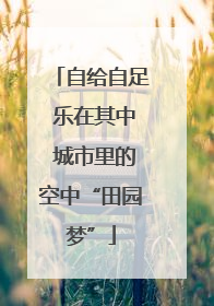 自给自足 乐在其中 城市里的空中“田园梦”