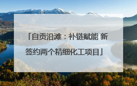 自贡沿滩：补链赋能 新签约两个精细化工项目