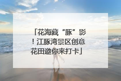 花海藏“豚”影！江豚湾景区创意花田邀你来打卡