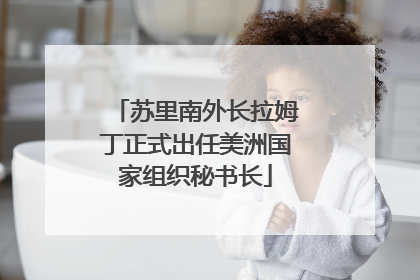 苏里南外长拉姆丁正式出任美洲国家组织秘书长