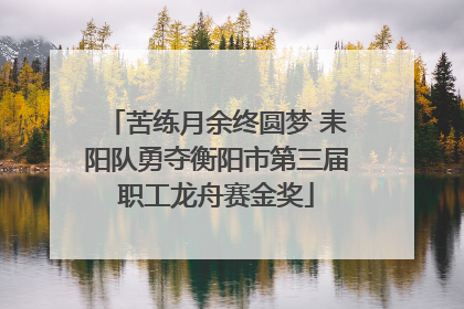 苦练月余终圆梦 耒阳队勇夺衡阳市第三届职工龙舟赛金奖