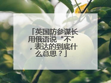 英国防参谋长用俄语说“不”，表达的到底什么意思？