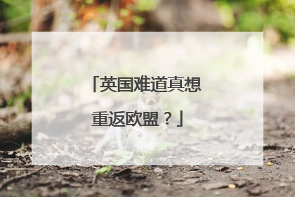 英国难道真想重返欧盟？