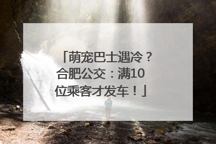 萌宠巴士遇冷？合肥公交：满10位乘客才发车！