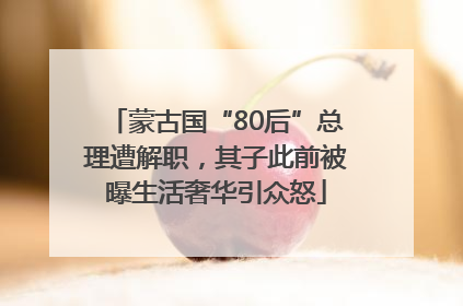 蒙古国“80后”总理遭解职，其子此前被曝生活奢华引众怒