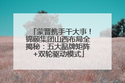 蒙晋携手干大事！锦颐集团山西布局全揭秘：五大品牌矩阵+双轮驱动模式