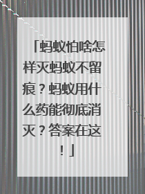 蚂蚁怕啥怎样灭蚂蚁不留痕？蚂蚁用什么药能彻底消灭？答案在这！