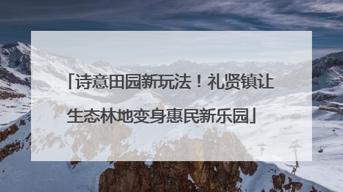 诗意田园新玩法！礼贤镇让生态林地变身惠民新乐园
