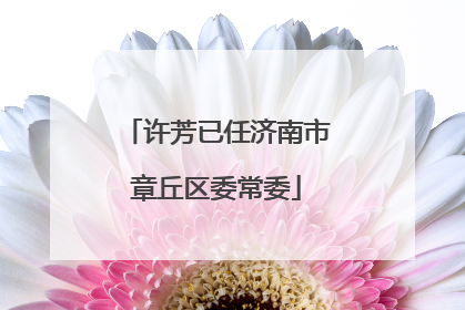 许芳已任济南市章丘区委常委