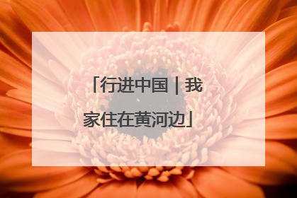 行进中国｜我家住在黄河边