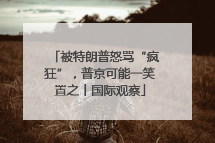 被特朗普怒骂“疯狂”，普京可能一笑置之丨国际观察