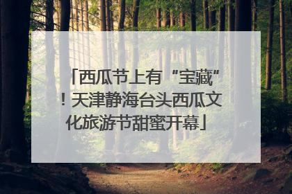 西瓜节上有“宝藏”！天津静海台头西瓜文化旅游节甜蜜开幕