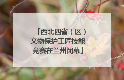 西北四省（区）文物保护工匠技能竞赛在兰州闭幕
