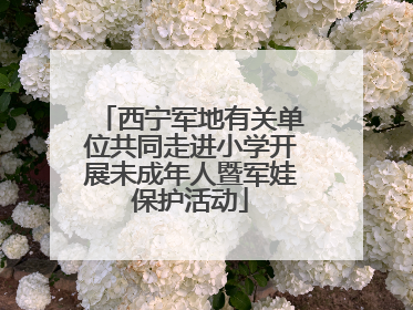 西宁军地有关单位共同走进小学开展未成年人暨军娃保护活动