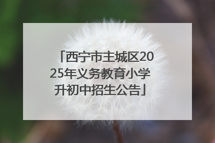 西宁市主城区2025年义务教育小学升初中招生公告