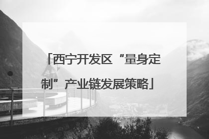 西宁开发区“量身定制”产业链发展策略