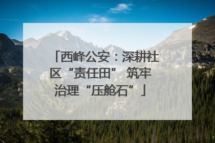 西峰公安：深耕社区“责任田” 筑牢治理“压舱石”