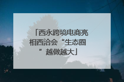 西永跨境电商亮相西洽会“生态圈”越做越大
