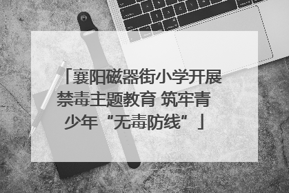 襄阳磁器街小学开展禁毒主题教育 筑牢青少年“无毒防线”