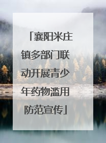 襄阳米庄镇多部门联动开展青少年药物滥用防范宣传