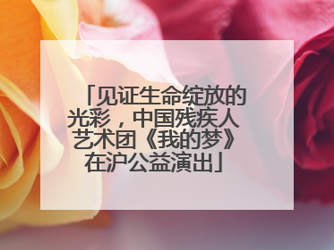 见证生命绽放的光彩，中国残疾人艺术团《我的梦》在沪公益演出