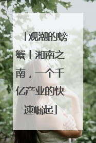 观潮的螃蟹丨湘南之南，一个千亿产业的快速崛起