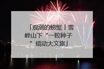 观潮的螃蟹丨雪峰山下“一粒种子”撬动大文旅