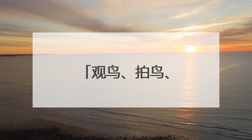 观鸟、拍鸟、爱鸟的“勺子王”李东明