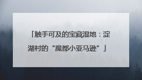 触手可及的宝藏湿地：淀湖村的“魔都小亚马逊”